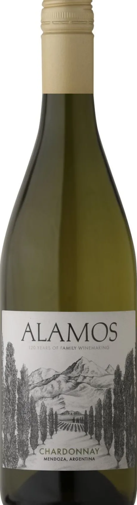 Witte Wijn|Alamos Chardonnay