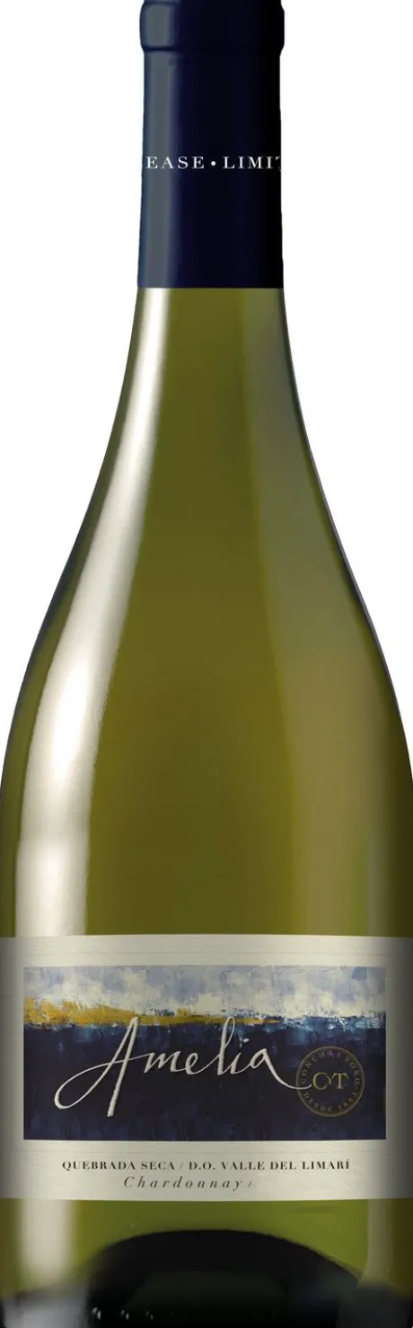 Witte Wijn|Amelia Chardonnay Single Vineyard Limari