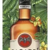 Bruine Rum|Rum|Bacardi Bacardí Spiced met glas