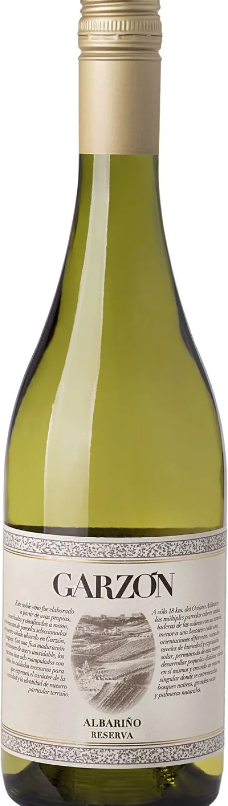 Witte Wijn|Bodega Garzón Bodega Garzón Reserva Albariño