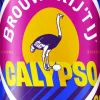 Blik|Speciaalbier|Brouwerij 't IJ Calypso Session