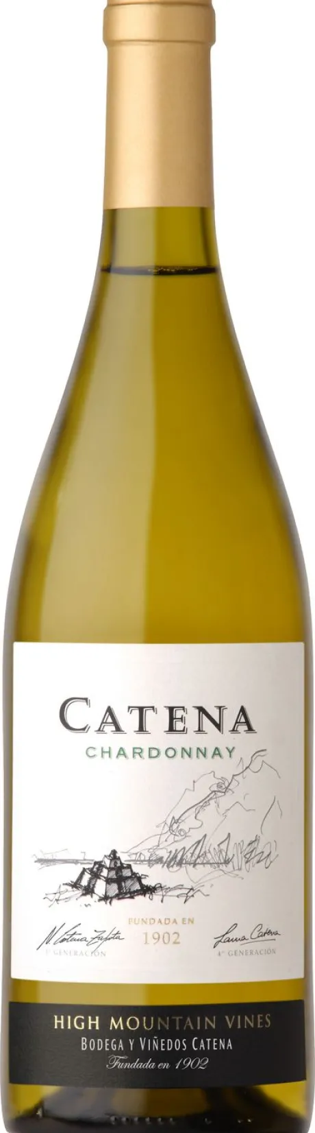 Witte Wijn|Catena Chardonnay