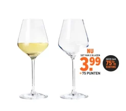 Wijnglazen|Chef & Sommelier Chef & Sommelier Witte wijnglazen (38 cl) - set van 2