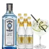 Kant & Klaar|Kant & Klaar|Gall & Gall Cocktailpakket Bombay Gin tonic