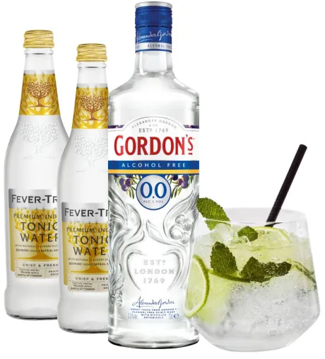 Alcoholvrije Mixen|Kant & Klaar|Gall & Gall Cocktailpakket Virgin Gin-tonic