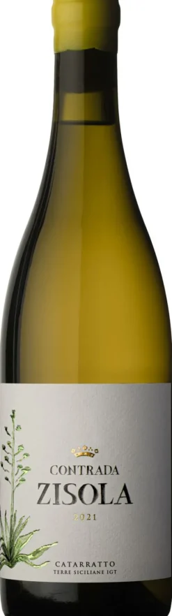 Witte Wijn|Mazzei Contrada Zisola