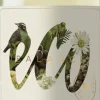 Witte Wijn|Eco Sauvignon Blanc Organic