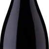 Rode Wijn|Errazuriz Aconcagua Costa Pinot Noir