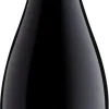 Rode Wijn|Errazuriz Aconcagua Cuvée Pinot Noir