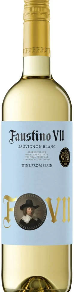 Witte Wijn|Faustino Sauvignon Blanc