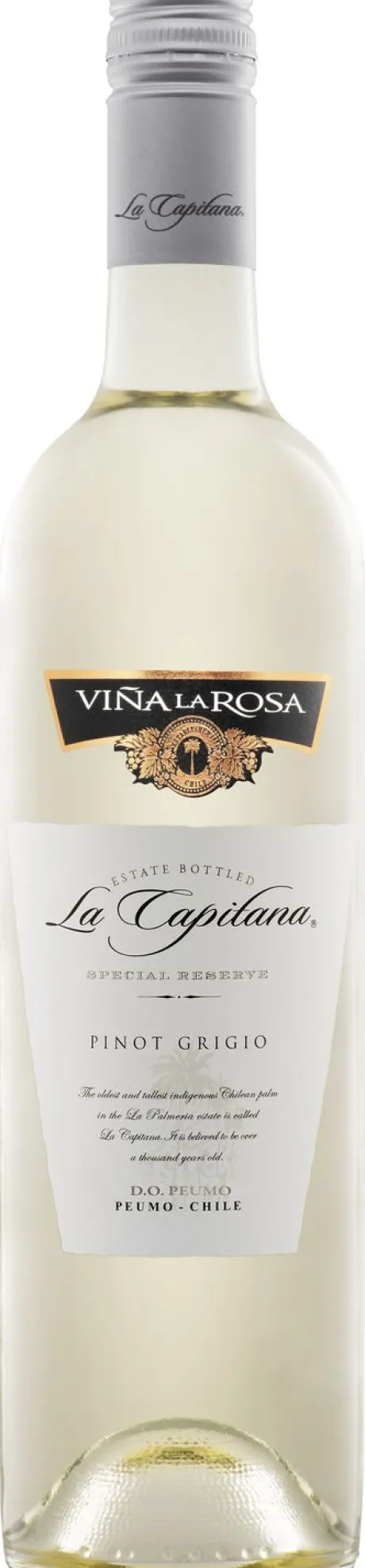 Witte Wijn|La Capitana La Capitana Pinot Grigio