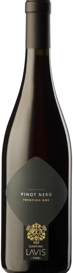 Rode Wijn|Lavis Classici Pinot Nero