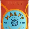 Gin|Gin|Malfy Con Arancia