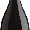 Prosecco|Mousserend|Bottega Masottina Costabella Prosecco Superiore Brut Organic