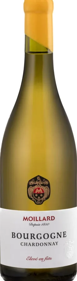 Witte Wijn|Moillard Bourgogne Chardonnay