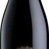 Rode Wijn|Pagus Bisano Pagus Bisano Valpolicella Ripasso Superiore