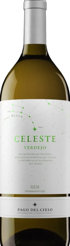 Witte Wijn|Torres Celeste Verdejo Magnum