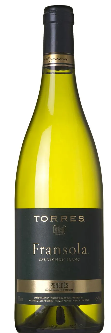 Witte Wijn|Torres Fransola Sauvignon Blanc