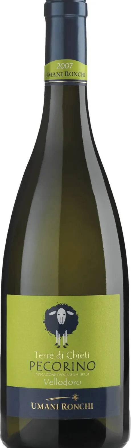 Witte Wijn|Umani Ronchi Umani Ronchi Pecorino Vellodoro