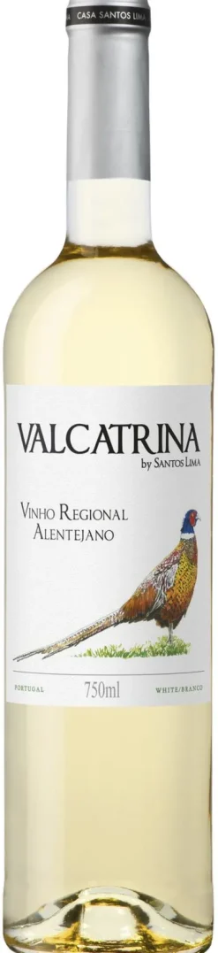 Witte Wijn|Casa Santos Lima Valcatrina Branco