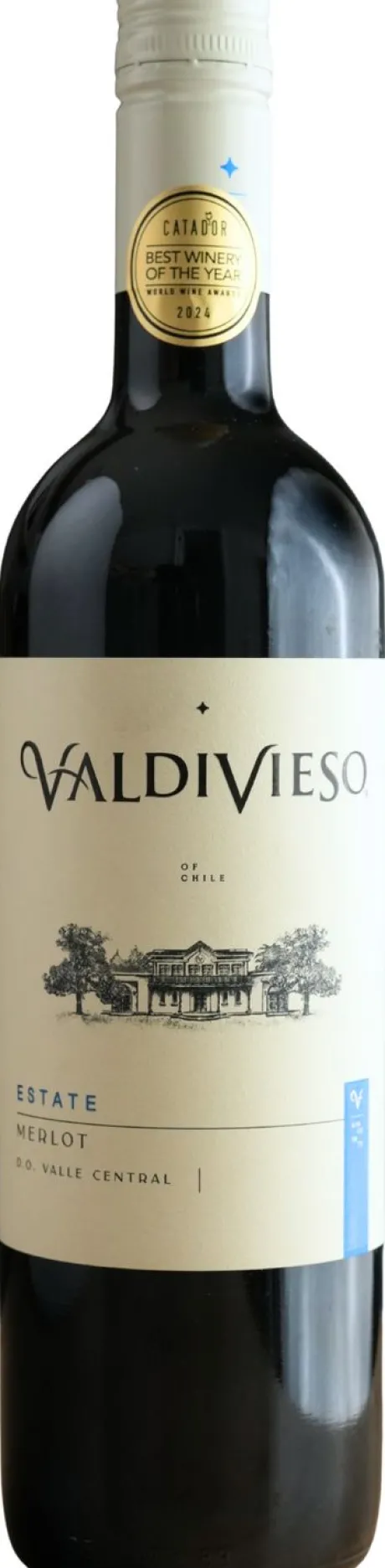 Rode Wijn|Valdivieso Merlot