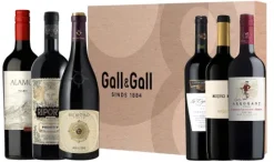 Wijnboxen|Gall & Gall Wijnbox Prijswinnend Rood